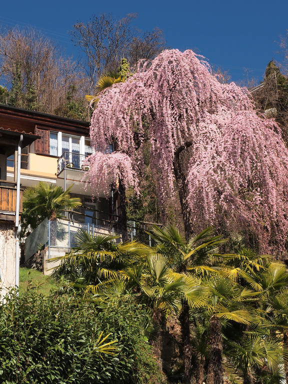 Casa Sibylle Bei Apartment