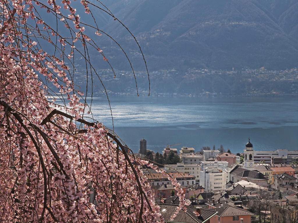 Apartment Casa Sibylle Bei Locarno